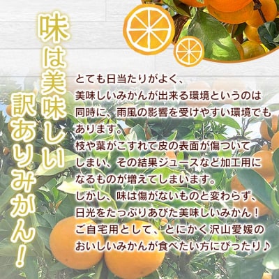 でん助農園の温州みかん(早生)　訳あり　10kg　愛媛　えひめ