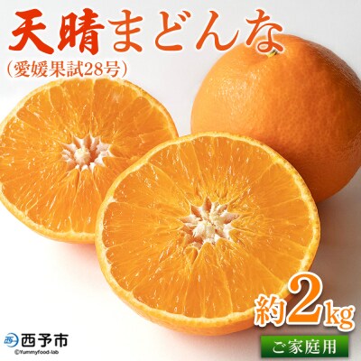 天晴まどんな(愛媛果試28号)ご家庭用 約2kg