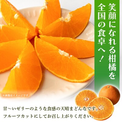 天晴まどんな(愛媛果試28号)ご家庭用 約2kg