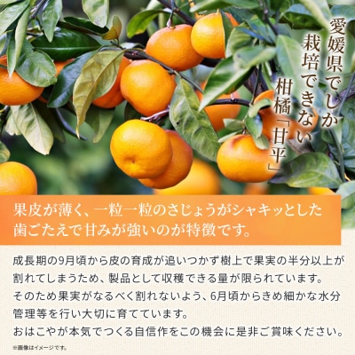 <おはこやがつくる 甘平 約2kg(L～3Lサイズ)> 果物 フルーツ 柑橘類 かんぺい カンペイ 