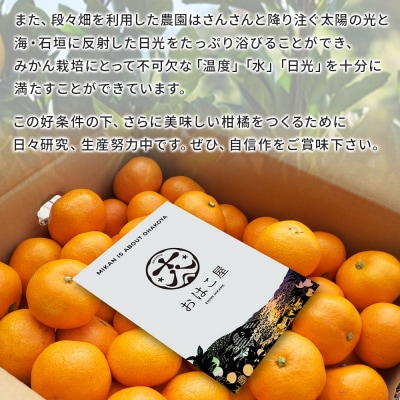 <おはこやがつくる 甘平 約2kg(L～3Lサイズ)> 果物 フルーツ 柑橘類 かんぺい カンペイ 