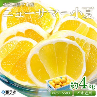 <ニューサマー小夏　ご家庭用4kg>　柑橘　果実　果物　フルーツ　特産品　愛媛　西予