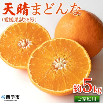 天晴まどんな(愛媛果試28号)ご家庭用 約5kg