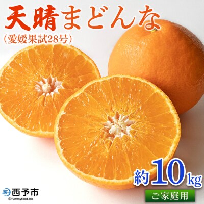 天晴まどんな(愛媛果試28号)ご家庭用 約10kg