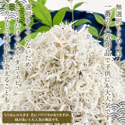 <井上のちりめん 無選別 合計約360g(180g入り×2袋)> ちりめんじゃこ タコ エビ イカ 