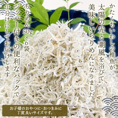 <井上のちりめん 使い切り小袋セット 合計約300g(50g入り×6袋)> ちりめんじゃこ かたくち