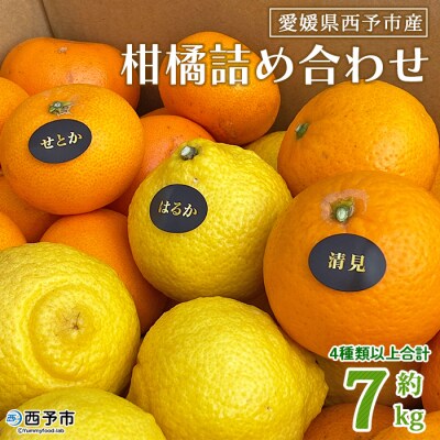 夕焼け山農園　愛媛県西予市産柑橘詰め合わせ　7kg