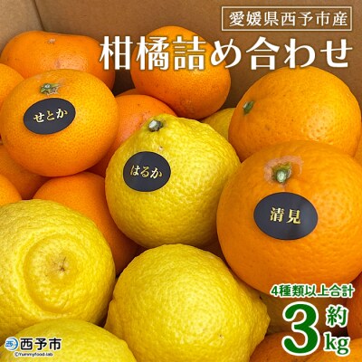 夕焼け山農園　愛媛県西予市産柑橘詰め合わせ　3kg