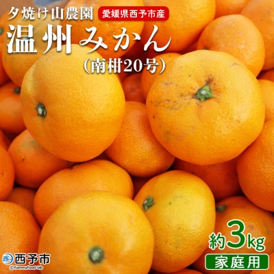 夕焼け山農園　愛媛県西予市産　温州みかん　家庭用　3kg(南柑20号)
