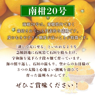 夕焼け山農園　愛媛県西予市産　温州みかん　家庭用　3kg(南柑20号)