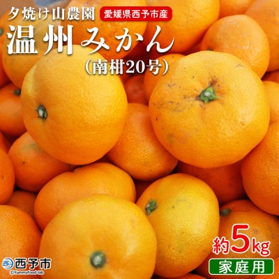 夕焼け山農園　愛媛県西予市産　温州みかん　家庭用　5kg(南柑20号)