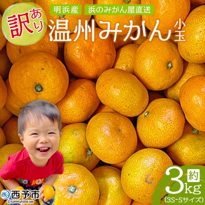 明浜産 浜のみかん屋直送 温州みかん 訳あり 小玉 3kg
