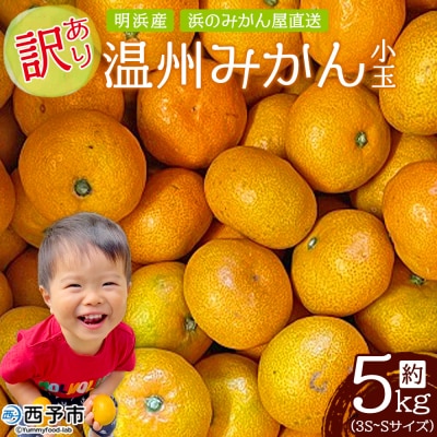 明浜産 浜のみかん屋直送 温州みかん 訳あり 小玉 5kg