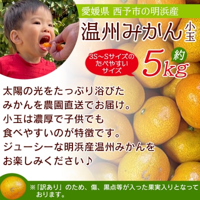 明浜産 浜のみかん屋直送 温州みかん 訳あり 小玉 5kg