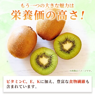 キウイフルーツ 秀2L(18個入り)