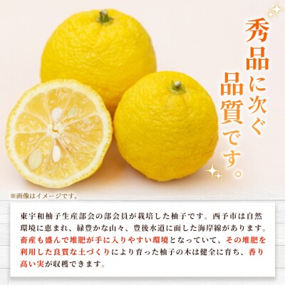 <柚子 優 Lサイズ 54個(18個入り×3箱)> 約6kg 6000g ゆず 国産 果物 フルーツ