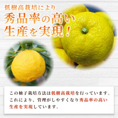 <柚子 優 Lサイズ 54個(18個入り×3箱)> 約6kg 6000g ゆず 国産 果物 フルーツ