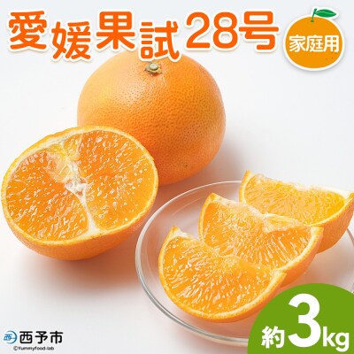 【柑橘園　柴田】愛媛果試28号 家庭用 3kg
