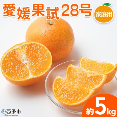【柑橘園　柴田】愛媛果試28号 家庭用 5kg