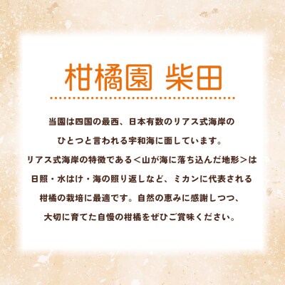 【柑橘園　柴田】愛媛果試28号 家庭用 5kg