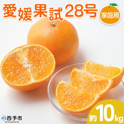 【柑橘園　柴田】愛媛果試28号 家庭用 10kg