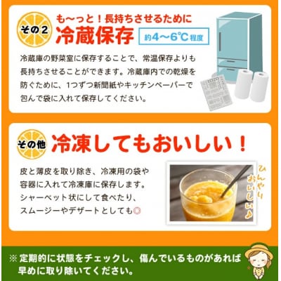 【柑橘園　柴田】愛媛果試28号 家庭用 10kg