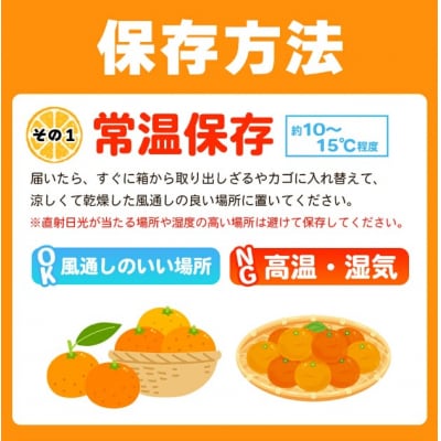 【柑橘園　柴田】愛媛果試28号 家庭用 10kg