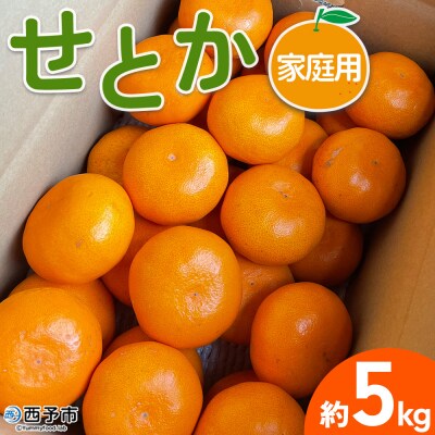 【柑橘園　柴田】せとか 家庭用 5kg