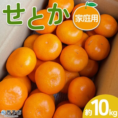 【柑橘園　柴田】せとか 家庭用 10kg
