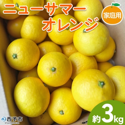 【柑橘園　柴田】ニューサマーオレンジ　家庭用 3kg