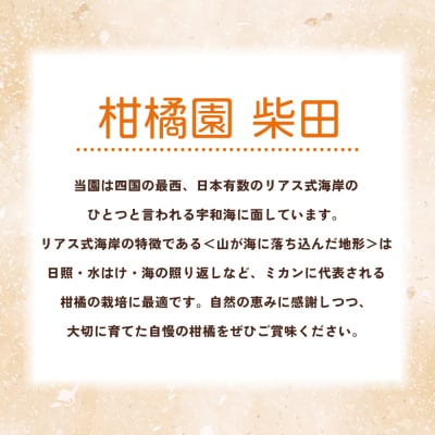 【柑橘園　柴田】ニューサマーオレンジ　家庭用 3kg