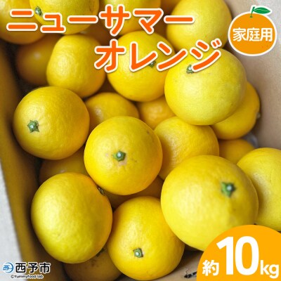 【柑橘園　柴田】ニューサマーオレンジ　家庭用 10kg
