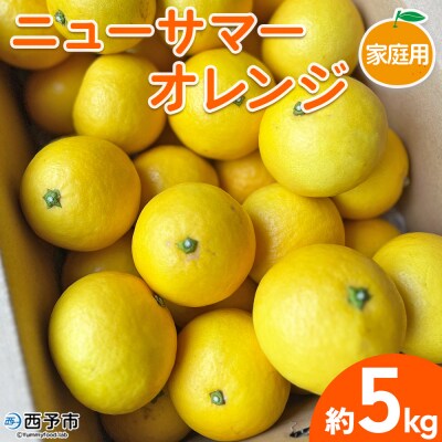 【柑橘園　柴田】ニューサマーオレンジ　家庭用 5kg
