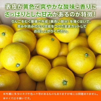【柑橘園　柴田】ニューサマーオレンジ　家庭用 5kg