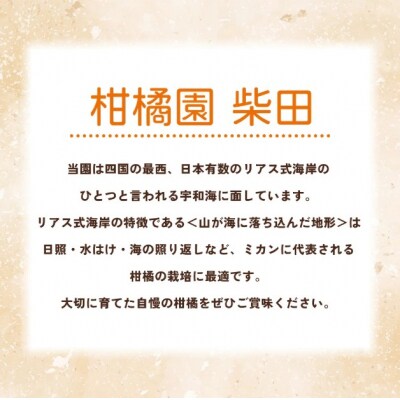【柑橘園　柴田】ニューサマーオレンジ　家庭用 5kg