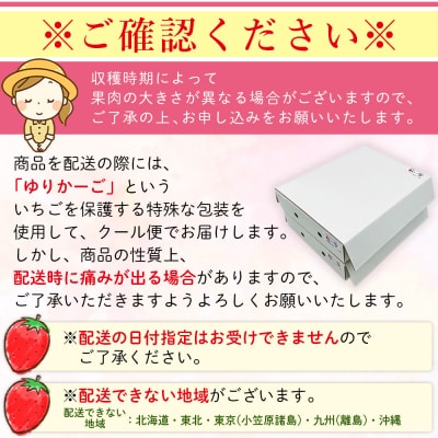 2025年発送<谷口農園のいちご「紅い雫」約500g(約250g×2パック)西予市 宇和町産> イチ