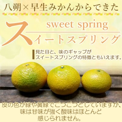 <愛媛県西予市産 スイートスプリング 家庭用 約4kg> 訳あり ワケアリ 果物 くだもの みかん