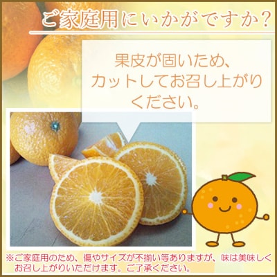 <愛媛県西予市産 スイートスプリング 家庭用 約4kg> 訳あり ワケアリ 果物 くだもの みかん