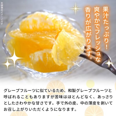 <河内晩柑 約7kg> 果物 くだもの みかん ミカン 柑橘 フルーツ 