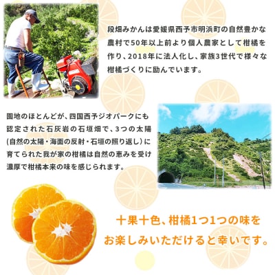 <河内晩柑 約7kg> 果物 くだもの みかん ミカン 柑橘 フルーツ 