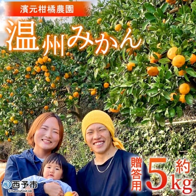 明浜産 温州みかん 約5kg 贈答用