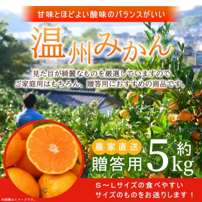 明浜産 温州みかん 約5kg 贈答用