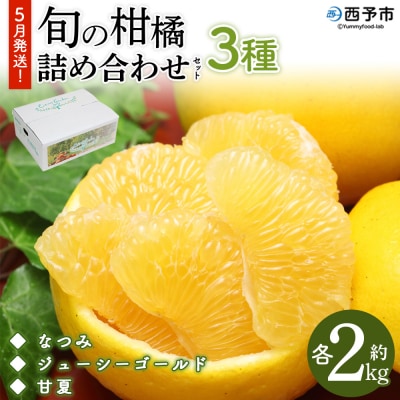 5月発送!旬の柑橘 詰め合わせセット 3種×各2kg