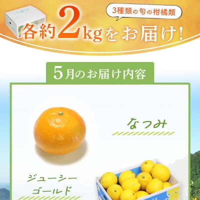 5月発送!旬の柑橘 詰め合わせセット 3種×各2kg