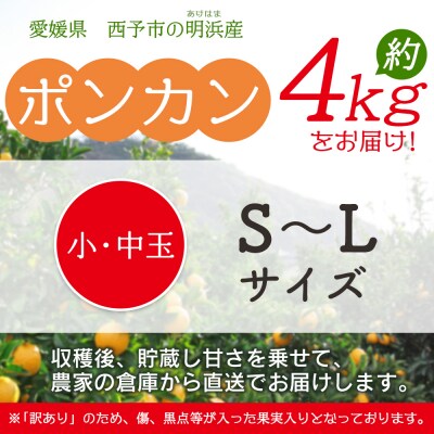浜のみかん屋直送 ポンカン　訳あり　4キロ　小・中玉(S～L)