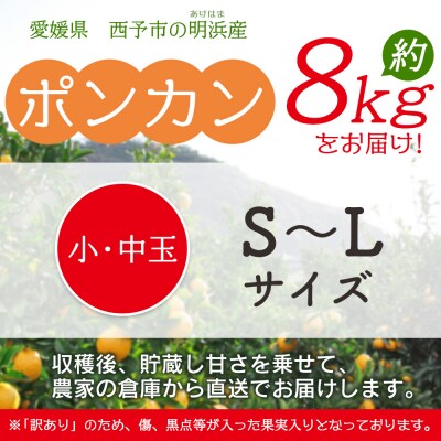 浜のみかん屋直送 ポンカン　訳あり　8㎏　小・中玉(S～L)