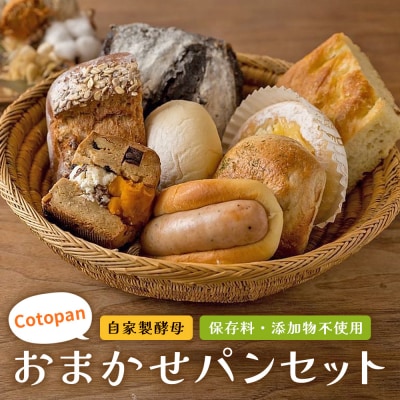 Cotopanおまかせパンセット(8～9個)