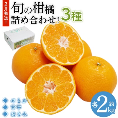 2月発送!旬の柑橘 詰め合わせセット 3種×各2kg