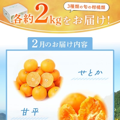 2月発送!旬の柑橘 詰め合わせセット 3種×各2kg