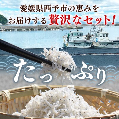 <ちりめん&しらす干し お試し食べ比べセット 合計410g> ちりめんしらす干し